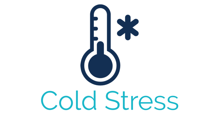 Job One Training: Cold Stress
